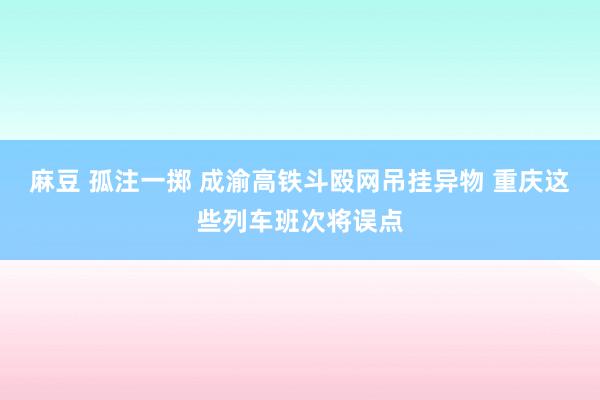 麻豆 孤注一掷 成渝高铁斗殴网吊挂异物 重庆这些列车班次将误点