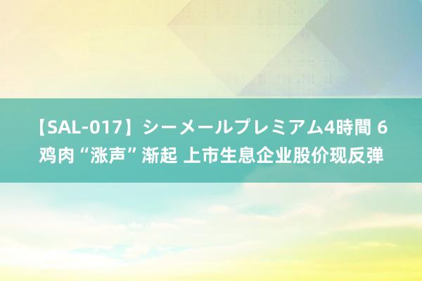 【SAL-017】シーメールプレミアム4時間 6 鸡肉“涨声”渐起 上市生息企业股价现反弹