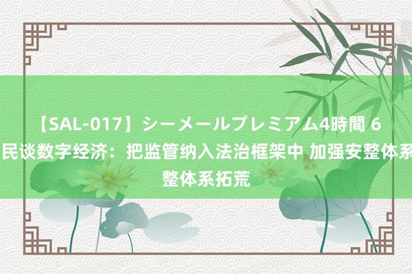 【SAL-017】シーメールプレミアム4時間 6 郭卫民谈数字经济：把监管纳入法治框架中 加强安整体系拓荒