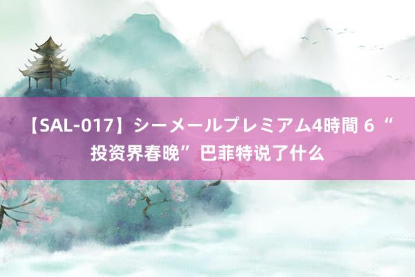 【SAL-017】シーメールプレミアム4時間 6 “投资界春晚” 巴菲特说了什么