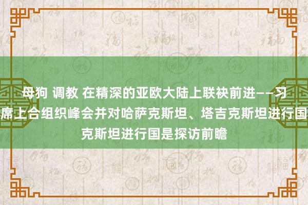 母狗 调教 在精深的亚欧大陆上联袂前进——习近平主席出席上合组织峰会并对哈萨克斯坦、塔吉克斯坦进行国是探访前瞻