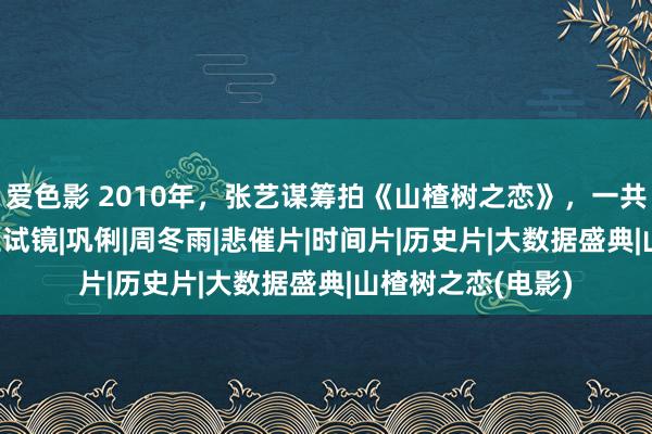 爱色影 2010年，张艺谋筹拍《山楂树之恋》，一共有6000多个女生试镜|巩俐|周冬雨|悲催片|时间片|历史片|大数据盛典|山楂树之恋(电影)